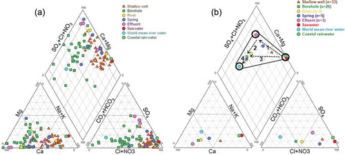 Figure 5. (a) Piper diagram describing the chemical composition of water samples for shallow wells, boreholes, streams, local springs and effluent. Samples of seawater (Hem Citation1970), world mean river water (WMRW) and mean coastal rain water are also plotted for comparison. (b) Plots of mean concentrations (n: number of samples used to calculate mean) of major ions on the Piper diagram showing four evolution paths for water resources in the study area.