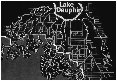 Figure 4 The network of drainage canals and channelized streams leading from Riding Mountain National Park to Lake Dauphin, MB. All but the largest streams have been straightened and relocated to follow a 30.2-m strip of public land separating square-mile agricultural sections.