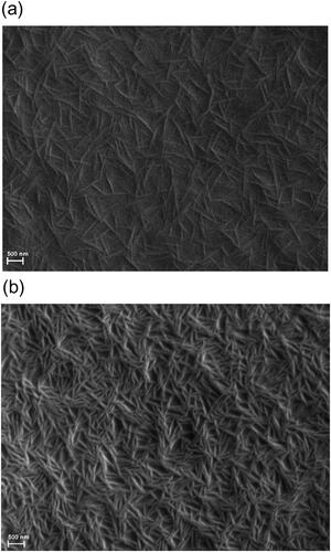 Figure 1. SEM image of surfaces of the PVDF film unpolarized (a) and polarized (b) by the corona discharge.