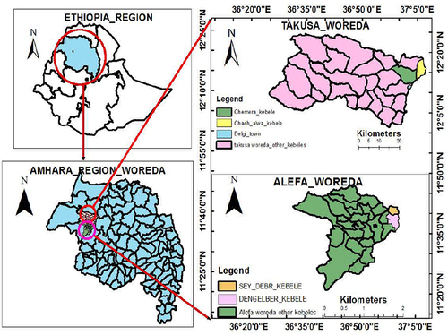 Figure 1 Geographical map of the study area (GIS Software, 2021).