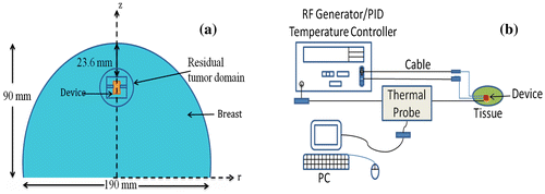 Figure 6. (a) Two-dimensional Model of Breast Phantom with a Long Axis Diameter of 30 mm and a Short Axis Diameter of 25 mm, (b) Schematic of Clinical Scenarios for hyperthermia treatment.