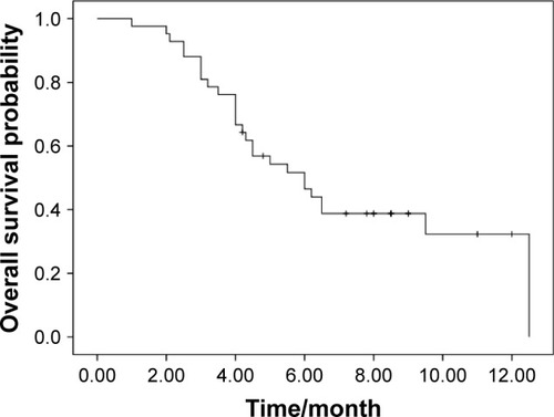 Figure 2 Kaplan–Meier estimates of overall survival of apatinib treatment.