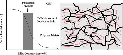 Figure 12. An illustration of percolation threshold by network formation of CNTs in a rubber matrix.