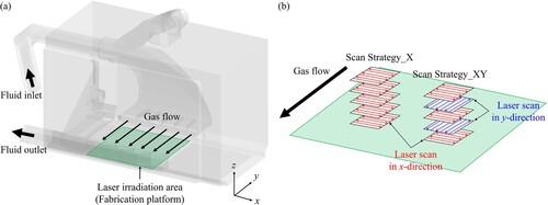 Figure 1. (a) Schematic of gas flow paths in the equipment and (b) schematic showing the direction of gas flow in relation to the laser scanning directions for Scan Strategy_X and Scan Strategy_XY.
