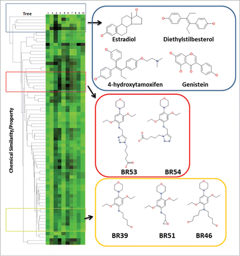 Figure 3. A heatmap of total binding scores and the chemical properties of each compound paired with a dendrogram. The dendrogram (ChemMine tools to compare the structure of each compound to the known ER modulators, and relate each compounds chemical structure to docking scores. Sybyl consensus binding score of each compound in complex with ER antagonist and agonist conformations is displayed in column 1 and 2 of the heatmap, respectively (rendered black (low) to green (high docking scores)). The chemical properties of each compound are displayed in column 3–10 (CLogP, compound area, polar surface area, polar volume, compound volume, molecular weight, H-bond aceptor, H-bond donor).