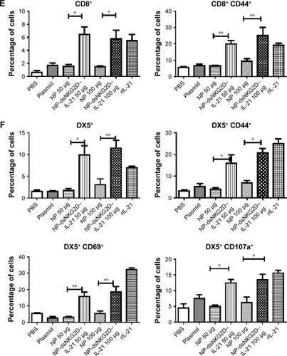 Figure 6 Antitumor activity of chitosan–dsNKG2D–IL-21 gene nanoparticles in vivo.Notes: CT-26 cells were injected subcutaneously into the Balb/c mice (n=6, 2×106 cells). On day 5, nanoparticles were injected intramuscularly every 3 days. Tumor growth was measured daily and expressed as the mean ± standard deviation (A). Tumor tissues were excised from the sacrificed mice (B). Mouse deaths were documented over time. Data are presented in Kaplan–Meier survival curves (C). All mice were sacrificed on day 20, and their spleens were collected. Frequencies of CD4+, CD4+ CD44+ (D), CD8+, CD8+ CD44+ (E), DX5+, DX5+ CD69+, DX5+ CD44+, and DX5+ CD107a+ cells in tumor tissues were detected by flow cytometry (F). The experiment was conducted three times. *P<0.05, **P<0.01.Abbreviations: IL-21, interleukin 21; NP, nanoparticle; PBS, phosphate-buffered saline.