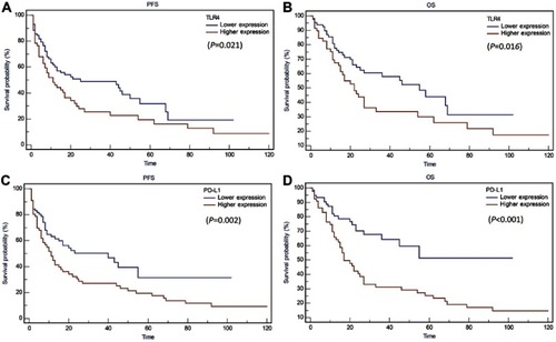 Figure 3 Kaplan Meier analysis for PFS and OS based on TLR4 and PD-L1 expression in PTCL patients. (A) Kaplan-Meier analysis for PFS based on TLR4 expression in patients with PTCL (log-rank test, P=0.021); (B) Kaplan-Meier analysis for OS based on TLR4 expression in patients with PTCL (log-rank test, P=0.016); (C) Kaplan-Meier analysis for PFS based on PD-L1 expression in patients with PTCL (log-rank test, P=0.002); (D) Kaplan-Meier analysis for OS based on PD-L1 expression in patients with PTCL (log-rank test, P<0.001).