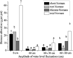 Figure3. Changes in total biomass and biomass allocation of Acorus calamus subjected to four water-level fluctuation treatments (0 cm, 60 cm, 60 ± 30 cm, and 60 ± 60 cm). All the values were means of triplicates ± SD. Different letters within a tissue category signify significant differences.