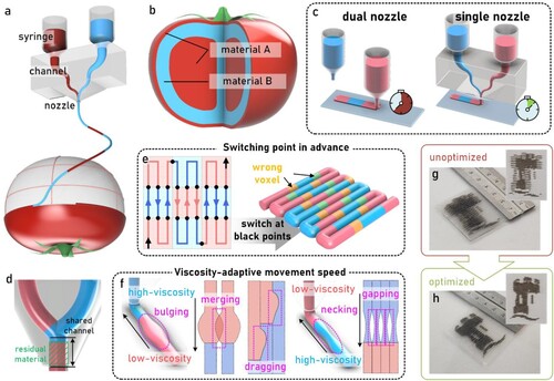 Figure 1. (a) Schematic of single-nozzle based MM-DIW printhead design for food 3D printing; (b) exemplar of using MM-DIW to fabricate food with customised ingredient designs; (c) Comparison of printing efficiency between dual-nozzle and single-nozzle based MM-DIW process; (d) The shared channel and residual material at the switching point in single nozzle based MM-DIW; (e) Schematic of unoptimised path and the corresponding printed chessboard; (f) Schematic of defects caused when switching between materials of different viscosity; (g) Printed logo pattern with unoptimised path; (h) Printed pattern with optimised path.