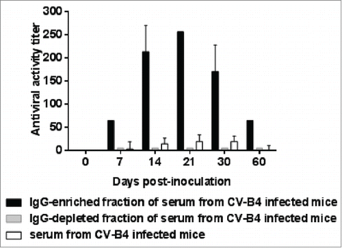 Figure 4. Antiviral activity of supernatants of spleen cells cultures inoculated with CV-B4 E2 mixed with serum-derived IgG from CV-B4 E2-inoculated mice. The antiviral activity of supernatants of spleen cells cultures inoculated with CV-B4 E2, MOI 0.02, mixed with IgG-enriched or IgG-depleted fractions of serum, or serum (diluted 1:1,000) from 5 CV-B4 E2-infected mice has been determined. Serum samples were collected on days 7, 14, 21, 30 and 60 p.i. IgG-enriched and IgG-depleted fractions of serum were obtained by using Protein G affinity chromatography. The results are expressed as mean + SD (n=3) of titers obtained by using the bioassay as described in the Figure 2 legend.