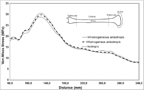 Figure 8. Maximum von Mises stress distribution under torsional loading.