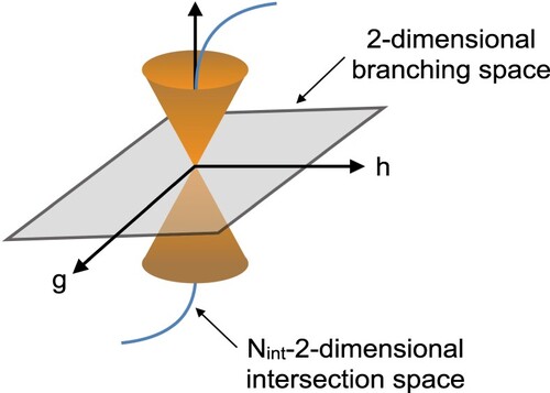 Figure 4. Schematic representation of a CI between two PESs in the Nint-2-dimensional space. Two orthogonal vectors define the 2-dimesional branching space: g which points in the direction of maximal energy splitting and h which points in the direction of maximal nonadiabatic interaction.