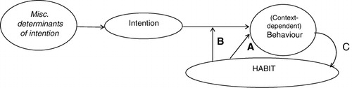 Figure 1. Hypothesised habit–behaviour relationships and the habit formation process.Note: Path A: Direct effect of habit strength on behaviour frequency (Triandis, Citation1977); Path B: Moderating impact of habit on the intention–behaviour relationship (Triandis, Citation1977); Path C: Effect of behavioural repetition on habit formation (Lally et al., Citation2010).
