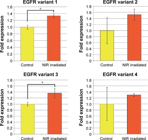 Figure 2 Quantitative real-time PCR validation of four EGFR variants.