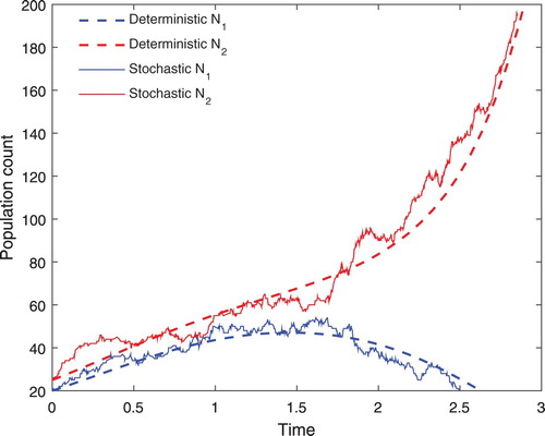 Figure 2. The deterministic and stochastic IBMs for two competing plant species N1 and N2 for arbitrary parameters: N1(0)=20, N2(0)=25, β1=2, β2=1.78, ψ1=0.02, ψ2=0.02, α1=0.03 and α2=0.03. The deterministic model is the solution of Equations (Equation13(13) dN1(t)dt=β1N1(t)−ψ1N1(t)−α2N1(t)N2(t)(13) ) and (Equation14(14) dN2(t)dt=β2N2(t)−ψ2N2(t)−α1N1(t)N2(t).(14) ) while the stochastic simulation is obtained by one realization of the Gillespie algorithm.