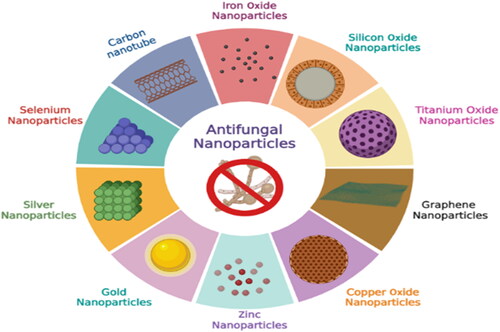 Figure 8. Applications of plant-based nanoparticles against antifungal activity.