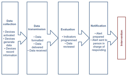 Figure 1 Reference workflow of remote health monitoring.