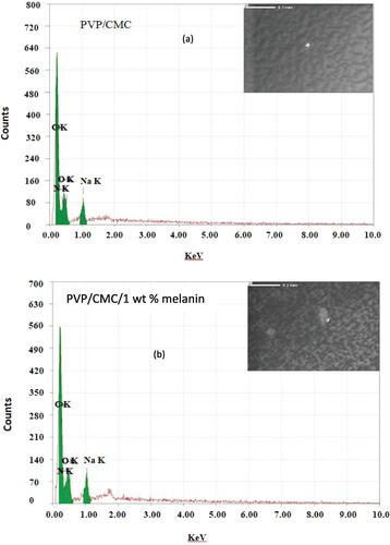 Figure 2. SEM and EDS images for PVP/CMC (a) without and (b) with melanin (1 wt %).