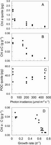 Fig. 3. Chlorophyll a and carbon content of Anabaena circinalis grown in 16:8h L : D cycles at 20°C. (A) chlorophyll a quota, (B) carbon quota, and (C) chl a : C ratio vs irradiance; (D) chl a : C ratio vs growth rate. Samples were taken at 12:00 h to avoid diurnal variation in pigment content.