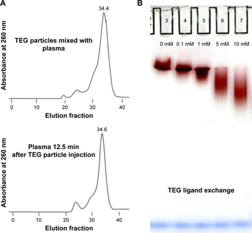 Figure 7 TEG-coated gold nanoparticle modification assays.Notes: (A) Column data of TEG particles mixed ex vivo with wild-type mouse plasma and TEG particles in plasma (in vivo) 12.5 min following injection. (B) Gel of TEG particles mixed with GSH for 1 hour (low concentration [0.1 mM], low cellular concentration [1 mM], medium cellular concentration [5 mM], and high cellular concentration [10 mM]).Citation14Abbreviations: GSH, Glutathione; TEG, tetraethylene glycol.