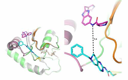 Figure 6. Superimposition of the structure of KRAS G12C GDP in complex with cpd3 and with 4EPY ligand.