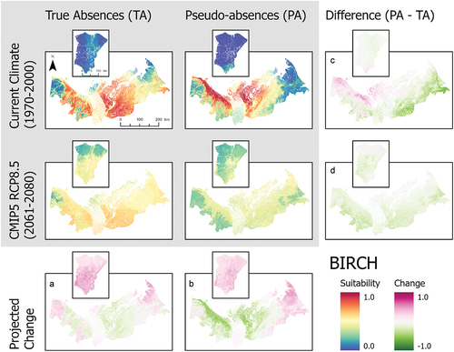 Figure 3. Ensemble habitat suitability maps (gray box) for birch (Betula nana and B. glandulosa) projected under current and future climate conditions using true absence and pseudo-absence models. Banks Island is inset over the mainland portion of the study area for enhanced visualization. Plots (A)–(D) correspond to differences between climate projections and data types along the columns and rows.