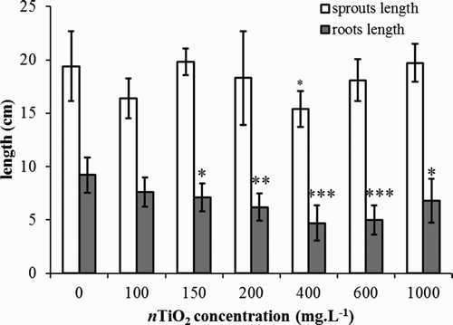 Figure 5. Average lengths of roots and shoots of barley (Hordeum vulgare L.) after seven-day cultivation in hydroponics (type II) under different nTiO2 concentrations (mg L−1). Only root length is affected when concentration of nTiO2 is above 150 mg L−1. The error bars represent standard deviation from seven measurements (* statistically significant difference from control on significance level α = 0.05, ** statistically significant difference from control on significance level α = 0.01, *** statistically significant difference from control on significance level α = 0.001).