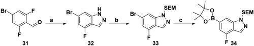 Scheme 6. Synthesis of the intermediate 34. Reagents and conditions: (a) N2H4·H2O, 1,4-dioxane, 90 °C, 5 h; (b) NaH, SEM-Cl, DMF, 0 °C–r.t., 10 h; and (c) Bis(pinacolato)diboron, Pd(dppf)Cl2, KOAc, 1,4-dioxane, 100 °C, 10 h.