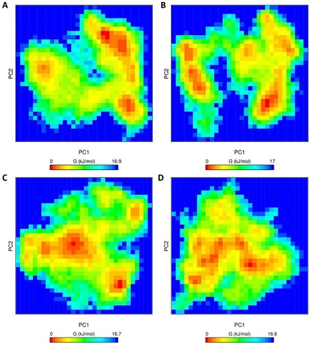 Figure 7. Gibbs free energy landscape of PC1 & PC2 (initial two principal components) of projection of simulated trajectories. (A) Apo WT, (B) Apo MT, (C) Holo WT, and (D) Holo MT obtained during 500 ns MD simulation.