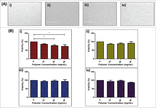 Figure 2. Effect of polymer formulation on NCTC 929 cell viability. (A) Digital microscope of images of NCTC 929 fibroblast cells 24 h following exposure to dissolved DNA loaded i ) 360 kDa PVP, ii) 58 kDa PVP, iii) 13–23 kDa PVA and iv) 9–10 kDa PVA polymer matrices; (B) Cell viability of NCTC 929 cells following 24 h exposure to increasing concentrations of i ) 360 kDa PVP, ii) 58 kDa PVP, iii) 13–23 kDa PVA and iv) 9–10 kDa PVA polymer, expressed as percentage viability compared to untreated control (means + SEM, n = 3).