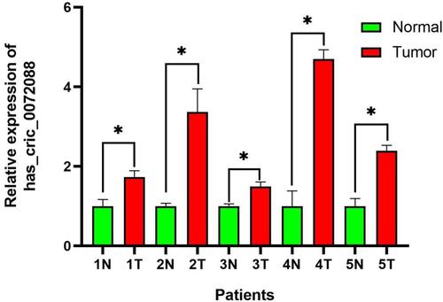 Figure 10 Expression of hsa_circ_0072088 in tissues. *P<0.05.