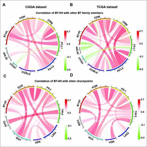 Figure 6. Relationship between B7-H3 and other immune checkpoints. (A, B) Correlation of B7-H3 and other B7 family members. (C, D) Correlation of B7-H3 and other immune checkpoints
