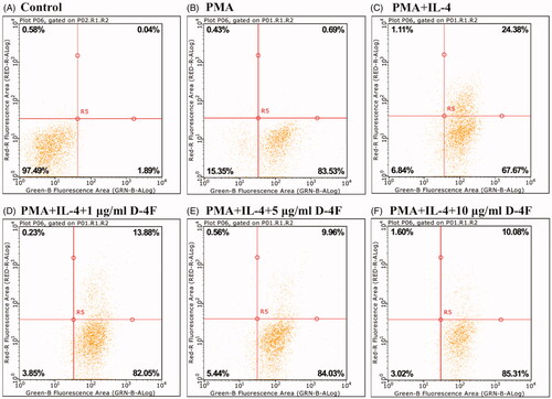 Figure 2. IL-4 alternatively activates MDMs and D-4F suppresses IL-4 induced alternative activation. Flow cytometry was performed on cells treated with medium control (A), PMA (B), IL-4 (C), IL-4 and 1 μg/mL of D-4F (D), IL-4 and 5 μg/mL of D-4F (E), and IL-4 and 10 μg/mL of D-4F (F). Green-B fluorescence area represented cells labeled with macrophage specific F4/80 antibody (FITC) and Red-R fluorescence area represented cells reacted with M2 macrophage specific CD163 antibody (Alexa Fluor).