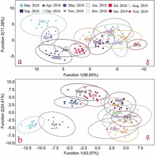 Figure 3. Discriminant analysis scatter plot of Yangcheng Lake E. sinensis based on carapace morphology (95% confidence interval for ellipses); a. Male crab; b. Female crab.