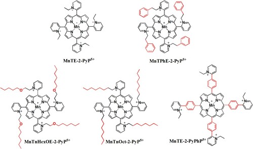 Figure 1. The structures of MnPs used in this study.Note: The charges in the MnP abbreviations are omitted throughout the text for clarity.