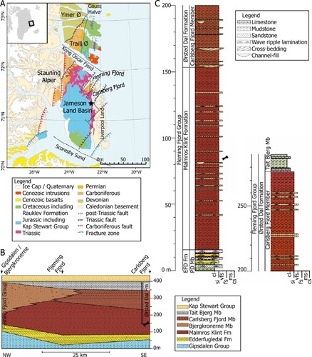FIGURE 1. A, geological map of East Greenland with the Jameson Land Basin (from Clemmensen et al., Citation2020); B, Fleming Fjord Group cross section of the lithostratigraphic units (from Clemmensen et al., Citation2020); C, section of the lithostratigraphic units in Fleming Fjord Group at Lepidopteris Elv. The Fleming Fjord group (B) is marked with a star in A. The phytosaur site is indicated with a bone in B and C, situated at 82 m in the middle part of the Malmros Klint Formation (from Clemmensen et al., Citation2020).