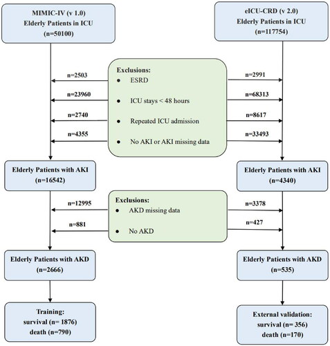 Figure 1. A flowchart for the selection of elderly patients with AKD. AKD: acute kidney disease; AKI: acute kidney injury; eICU-CRD: the eICU Collaborative Research Database; ESRD: end-stage renal disease; ICU: intensive care unit; MIMIC-IV: medical information mart for intensive care IV.