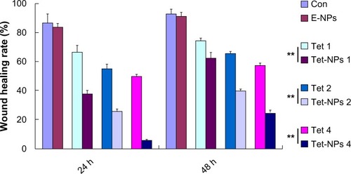 Figure 10 Quantification of cell migration using the monolayer wound scratching assay.Notes: **Represents P<0.01 versus the equivalent dose of Tet. Each data point represents the mean ± SD from three independent experiments.Abbreviations: Con, control; E-NPs, empty nanoparticles; Tet, tetrandrine; Tet-NPs, tetrandrine-loaded poly(N-vinylpyrrolidone)-block-poly(ε-caprolactone) nanoparticles; h, hours; SD, standard deviation.