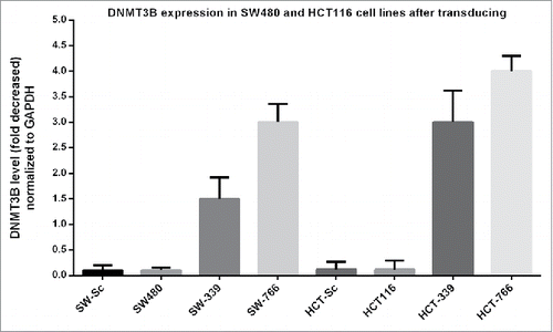 Figure 3. DNMT3B expression: SW480, HCT 116 and HUVEC were transduced with lenti-miR-339, lenti-miR-766 and lenti-miR-scrambled. After 72 hours, DNMT3B expression was analyzed by Real-Time quantitative PCR (P < 0.05).