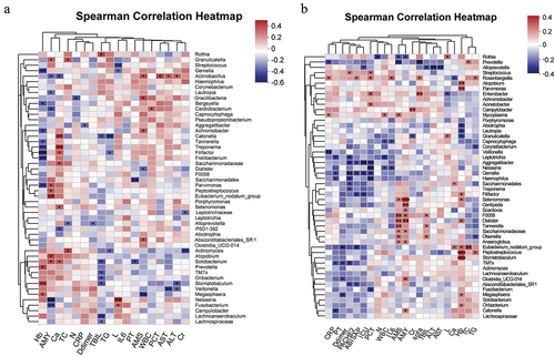 Figure 6. Associations between oral microbiomes and clinical indices of AP. Spearman correlations between the top 50 species regarding total taxonomic abundance, clinical outcomes, and disease severity indicators. Positive (red) or negative (blue) correlations are shown by a two-color heatmap, with asterisks denoting statistical significance (*p < 0.05, **p < 0.01).