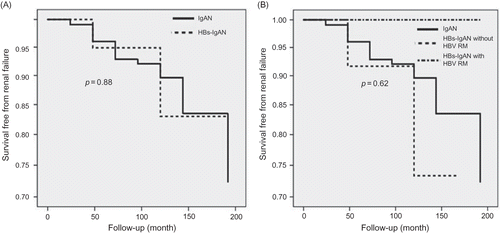 Figure 3.  (A) Comparison of renal survival between idiopathic IgAN and HBs-IgAN. There was no difference of renal survival between two groups. (B) Comparison of renal survival between three groups: a group with idiopathic IgAN, a group who had HBs-IgAN without HBVRM and a group had HBs-IgAN with HBV RM. There was no difference of renal survival between three groups.