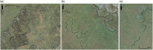 Figure 5. Aerial photograph extracts (Copyright Ordnance Survey) showing examples of different populations of boulder-fronted lobes at lower elevations to those depicted in Figure 4 from the edges of summit blockfields: (a) mid slope (intermediate age) lobes on the northwest slope of Brown Willy, where risers and treads are clearly visible but vegetation is well developed between boulder-fronts (examples outlined by dashed black lines). Downslope is towards the top left; (b) lobes of different appearance and hence age on the southwest slopes of South Rough Tor. Lower slope forms (bottom left) are defined by relatively smaller boulders, and extensive vegetation cover and ill-defined risers. Upper slope forms (top right) comprise steep and wide lobe fronts or risers containing large boulders and sparse vegetation cover (lobe front examples outlined by dashed black lines); (c) older lobes on the lowest slopes to the east of Rough Tor, showing subdued risers (examples outlined by dashed black lines) and well vegetated surfaces.