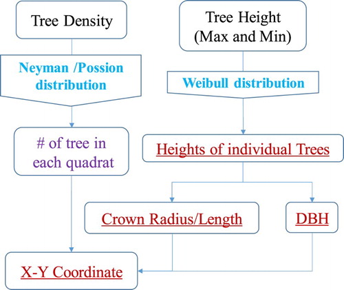 Figure 2. Framework of the proposed Forest Structure Model (FSM) used to generate a simulated forest stand.