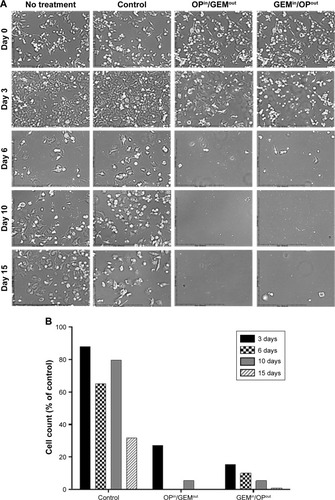 Figure 8 PANC1-GEMR untreated cells over 15 days compared to PANC1-GEMR cells exposed to drug-free blank and inner/outer OPin/GEMout or GEMin/OPout cylinders (A). Scale bar: 508 µm. Viable cell numbers are expressed as percentage of the untreated cells (B). Absence of a bar indicates that no viable cells were present. The data are the representation of one out of two independent experiments showing similar results.