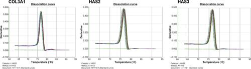 Figure S1 Melting curve analysis of qRT-PCR assay.