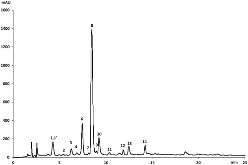 Figure 3. LC-DAD chromatogram (at 325 nm) of the phenolic compounds from L. barbarum leaves (cultivar Lbb- "Bigligeberry"). For compounds numbers refer to Table 1.