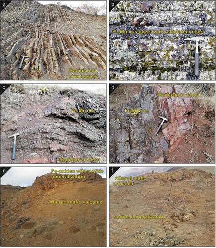 Figure 3. Field photographs of host rocks and Fe-Mn-oxide mineralisation in the Cihanpaşa region (Yozgat district, central Turkey) a thin-bedded ribbon chert layers exposed in the southern part of the studied area, b radiolarian chert layers with Fe-Mn ore, c slightly folded radiolarian chert layers and Fe-Mn ore, d sharp contact between radiolarian chert and Fe-Mn ore, e, f Altered mafic volcanics including sulphide mineralisation dispersed within the Artova mélange