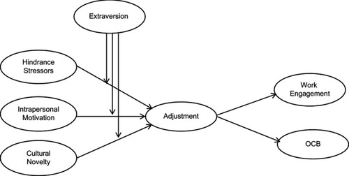 Figure 1 Conceptual framework.