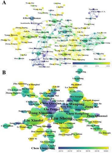 Figure 6. Author’s collaboration network diagram.A: English publications. B: Chinese publications.