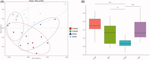 Figure 5. Principal coordinate analysis (PCoA) of the ruminal bacterial OTUs (A) and weighted Unifrac in different groups (B). CON26: control group, sampled at day 26; EW26: weaning group, sampled at day 26; CON49: control group, sampled at day 49; EW49: weaning group, sampled at day 49. **p < 0.01, *p < 0.05.